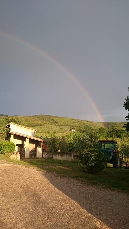 Borgo Buciardella Villa Baschi Luaran gambar