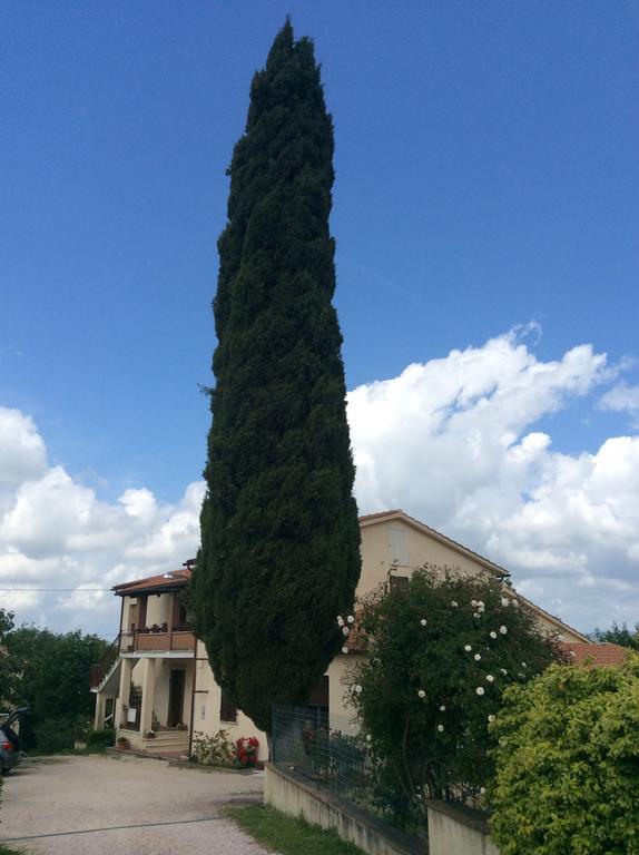 Borgo Buciardella Villa Baschi Luaran gambar