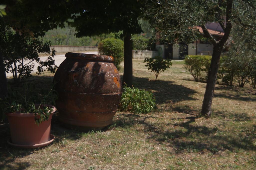 Borgo Buciardella Villa Baschi Luaran gambar