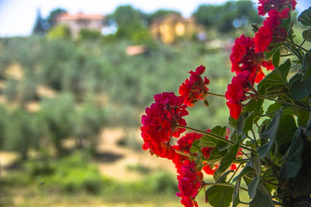 Borgo Buciardella Villa Baschi Luaran gambar